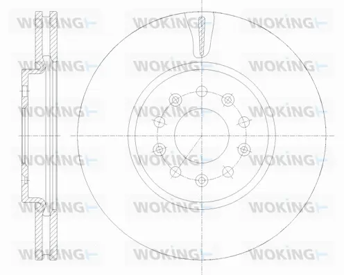 Brake Disc (D61909.10)