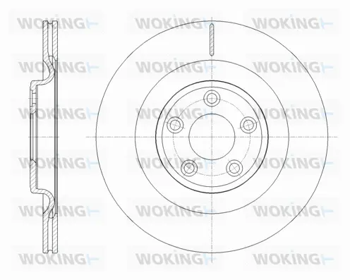 Brake Disc (D62111.10)