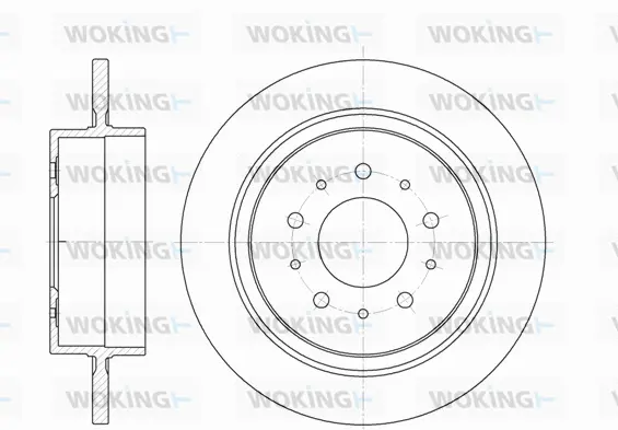 Brake Disc (D6921.00)