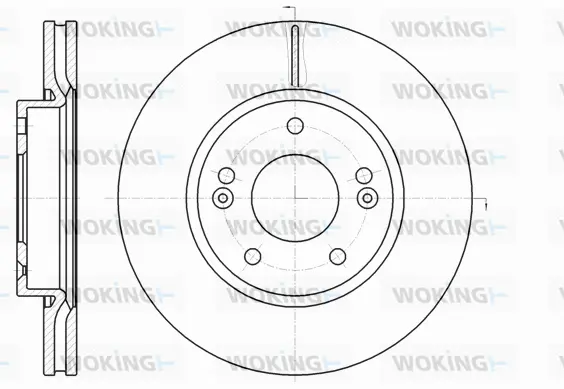 Brake Disc (D61208.10)