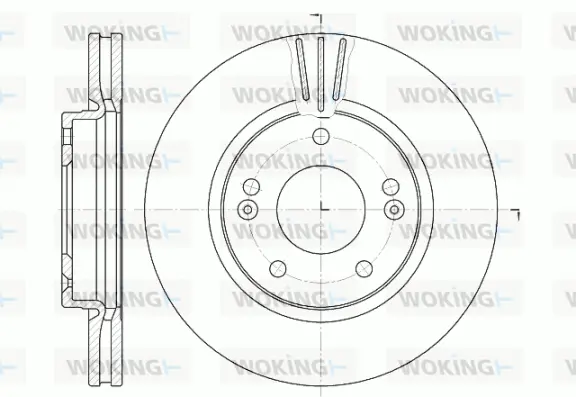 Brake Disc (D6667.10)