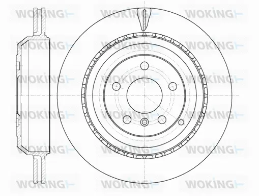 Brake Disc (D61031.10)