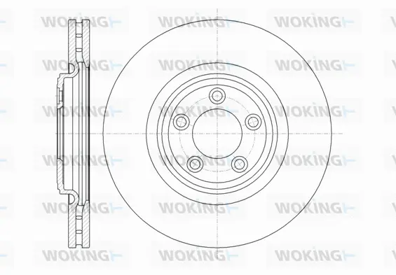 Brake Disc (D61374.10)