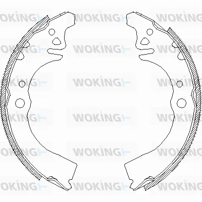 Brake Shoe (Z4389.00)