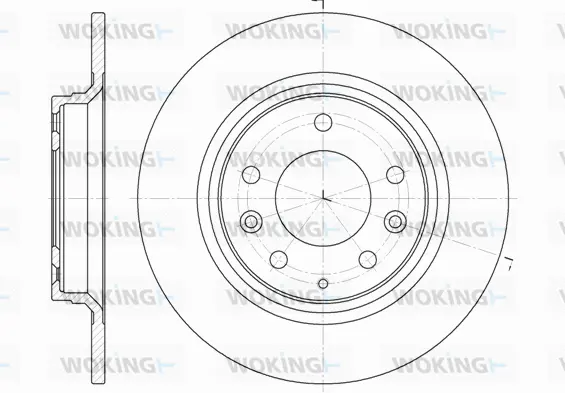 Brake Disc (D6881.00)