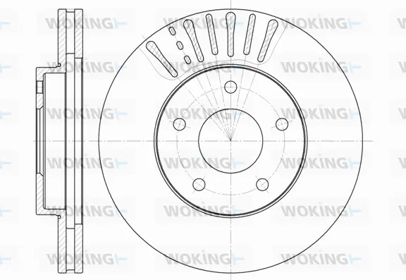 Brake Disc (D61973.10)