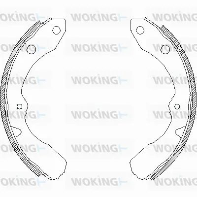 Brake Shoe (Z4359.00)