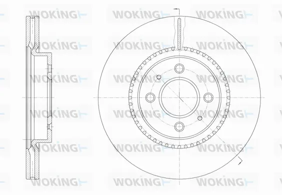 Brake Disc (D61463.10)