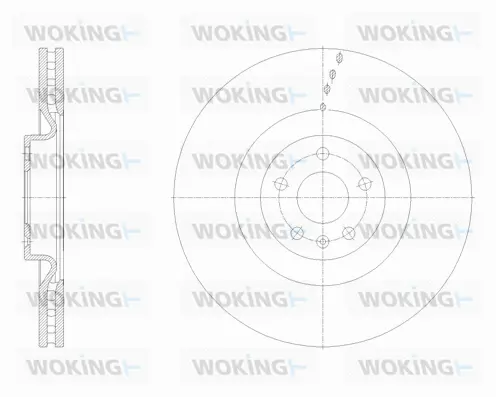Brake Disc (D62113.10)