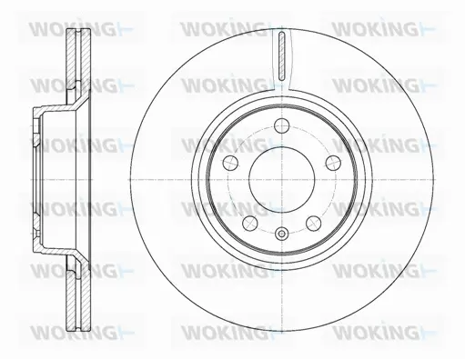 Brake Disc (D61101.10)