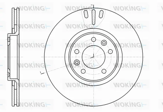 Brake Disc (D61051.10)