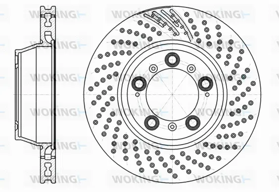 Brake Disc (D61198.11)