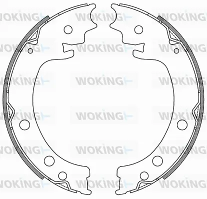 Brake Shoe, parking brake (Z4629.00)