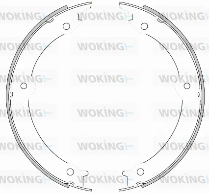 Brake Shoe, parking brake (Z4620.00)