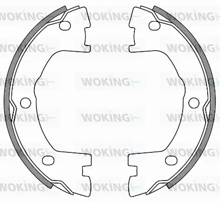 Brake Shoe, parking brake (Z4640.00)