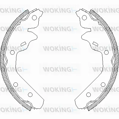 Brake Shoe (Z4031.00)