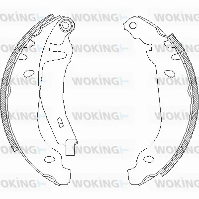 Brake Shoe (Z4506.01)