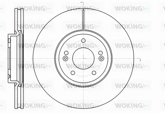Brake Disc (D61102.10)