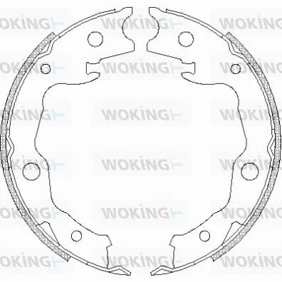Brake Shoe, parking brake (Z4677.00)
