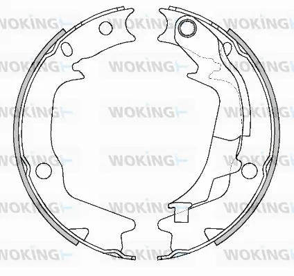 Brake Shoe, parking brake (Z4244.01)