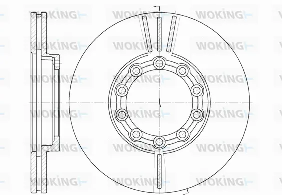 Brake Disc (D6933.10)