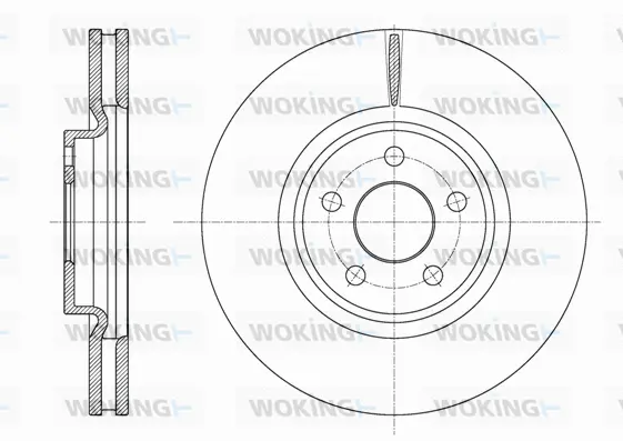 Brake Disc (D61602.10)