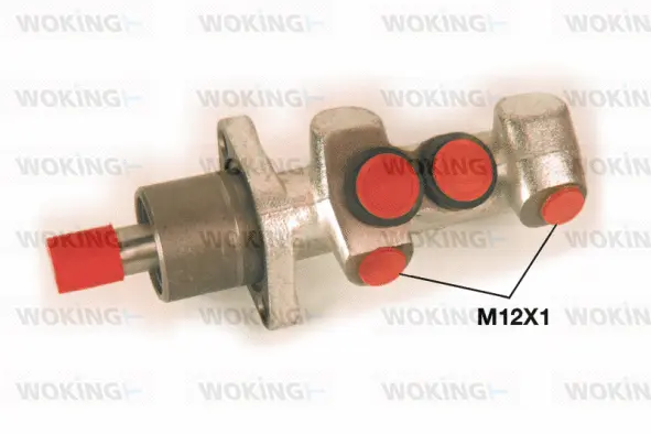 Brake Master Cylinder (C1023.31)