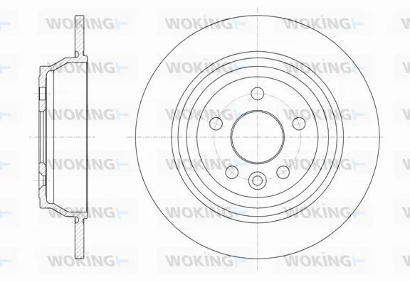 Brake Disc (D61899.00)