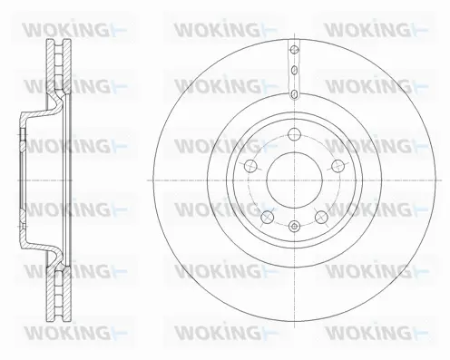 Brake Disc (D61670.10)