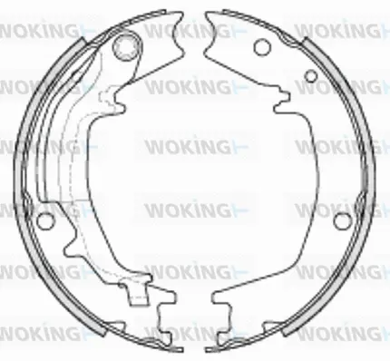 Brake Shoe, parking brake (Z4235.00)