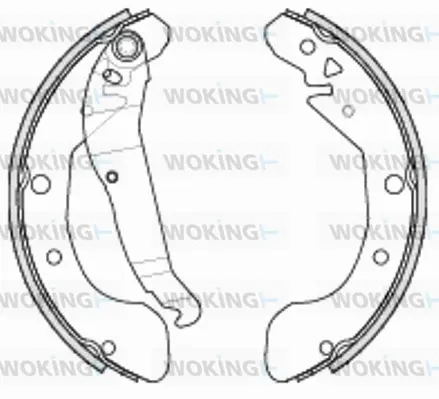 Brake Shoe (Z4231.00)
