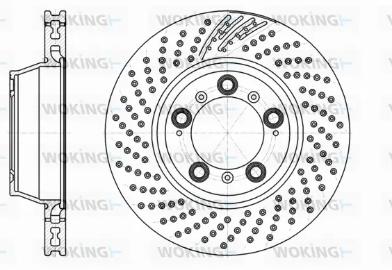 Brake Disc (D61198.10)