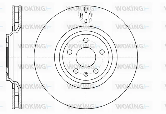 Brake Disc (D61213.10)