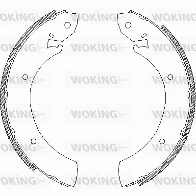 Brake Shoe (Z4250.01)