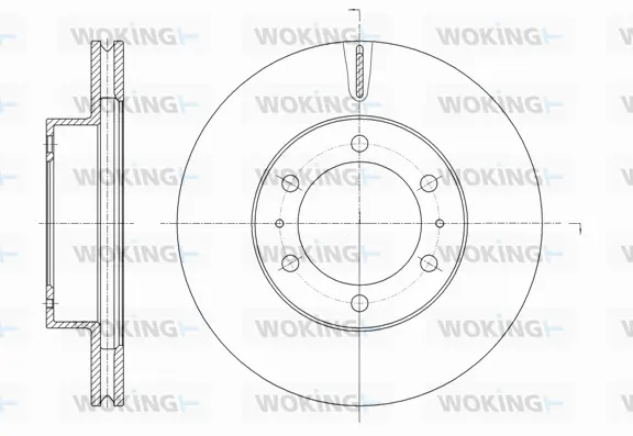Brake Disc (D61875.10)