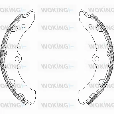 Brake Shoe (Z4430.00)