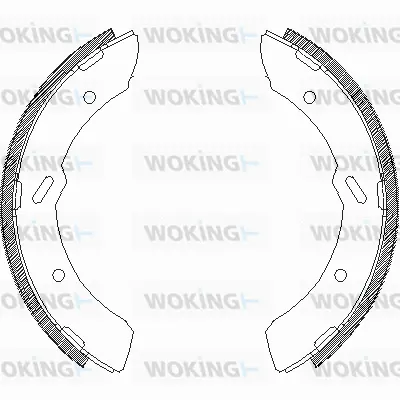 Brake Shoe (Z4313.00)