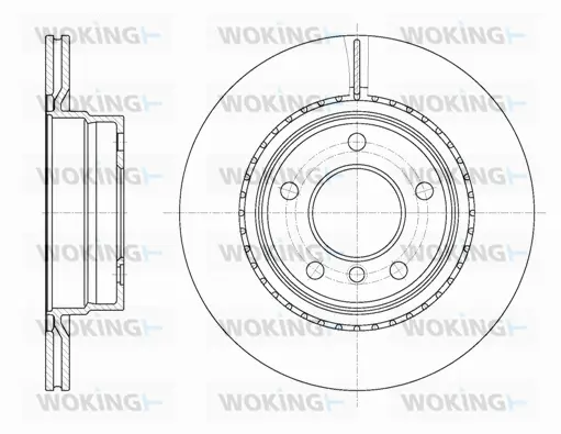 Brake Disc (D61231.10)
