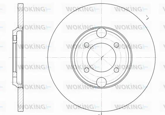 Brake Disc (D6919.00)