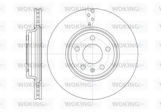 Brake Disc (D61292.10)