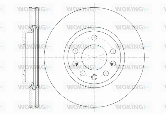Brake Disc (D61318.10)