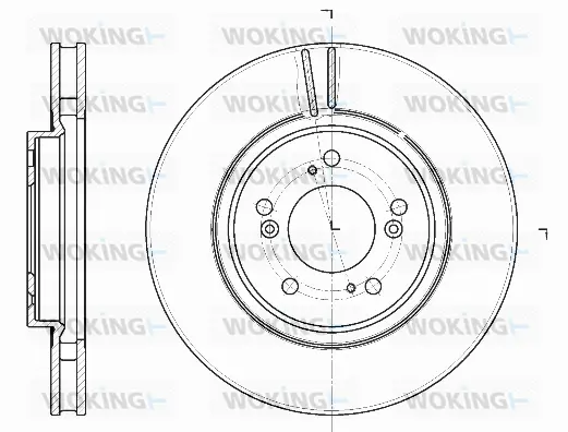 Brake Disc (D61129.10)