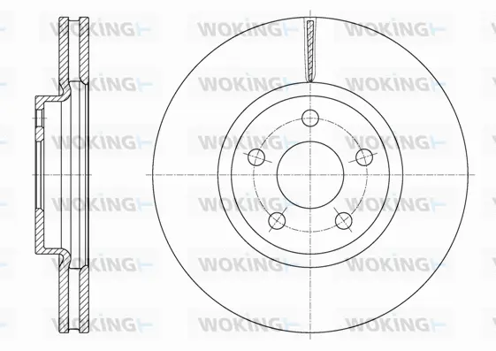 Brake Disc (D61603.10)