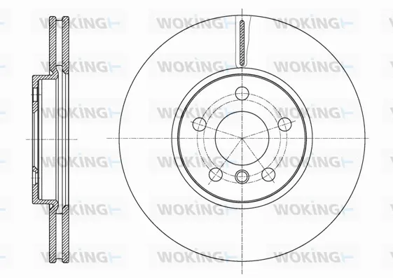 Brake Disc (D61596.10)