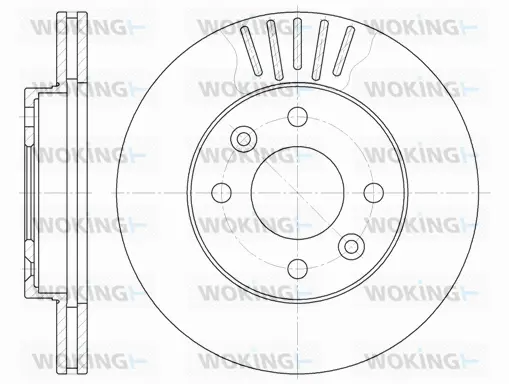 Brake Disc (D6080.10)