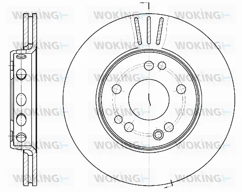 Brake Disc (D6318.10)