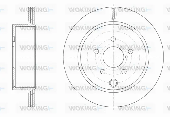 Brake Disc (D62079.10)