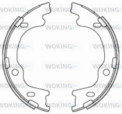 Brake Shoe, parking brake (Z4699.00)