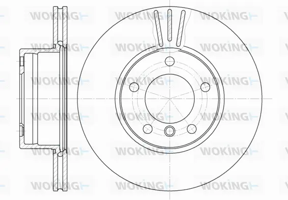 Brake Disc (D6514.10)