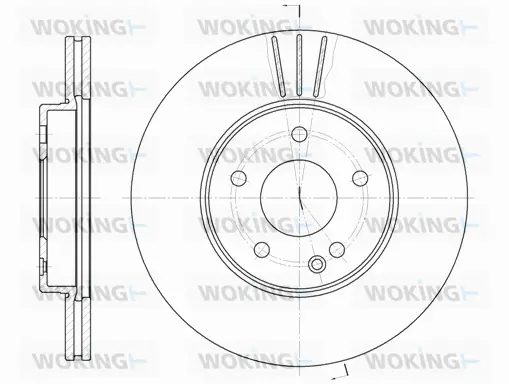 Brake Disc (D6313.10)